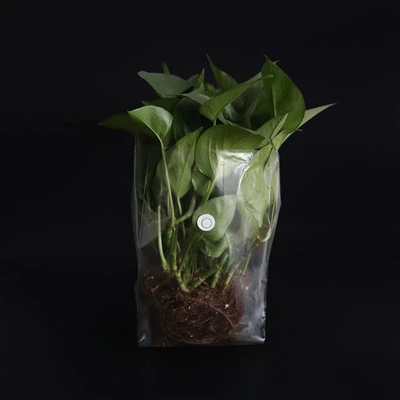 Sacos de cultivo poli para plantas